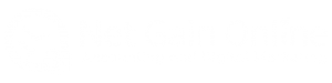 Net Gain Online Logo white